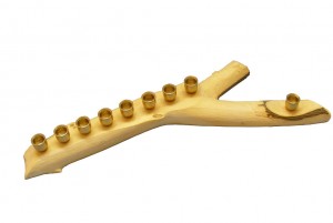 Branch Menorah from Lemon Wood-Hanukkah Menorah Branch-Menorah-from-Lemon-Wood-Hanukkah-Menorah-MEN-B-O-Lemon-RW-2010_0221tryfirst0034.jpg