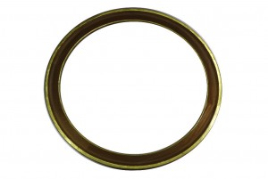 Round Wooden Frame-Oversized Wooden Frame-Wood and Gold Leaf Round-Wooden-Frame-Oversized-Wooden-Frame-Wood-and-Gold-Leaf-FRAME-GoldLeaf-52-sapelli-RWP-MG_2723-Copy.jpg