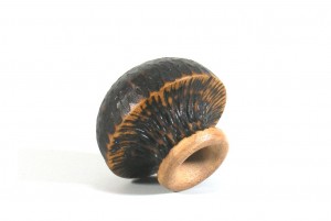 Tiny Vase-Miniature Vase Tiny-Vase-Miniature-Vase-MINI-Vase5-O-sapelli-RWPvember2014-095.jpg