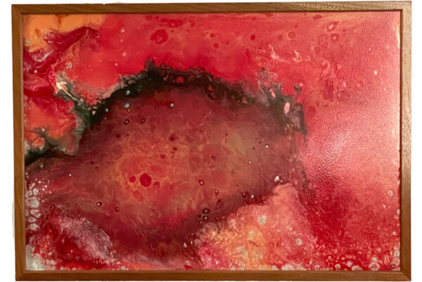 Amoeba-Cytology-Fantasy-Wall-Art-Colorful-Red-Wall-Decor-Framed-Red-Cell-Wall-Decoration-FA-Amoeba-71x50-SapPoly-RWSh_Main-IMG_4068.jpg