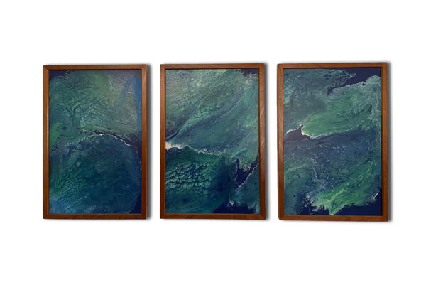 Filter media Filter by type Filter by date Search Media list Showing 5 of 4 media items Attachment Details Earth-Triptych-Abstract-Art-Home-Decor-Blue-Green-Framed-Wall-Art-Modern-Wall-Decor-Living-Room-Wal-Decor-FA-EarthTriptych-36x53-SapPoly-RWSh_Main-img_4073.jpg